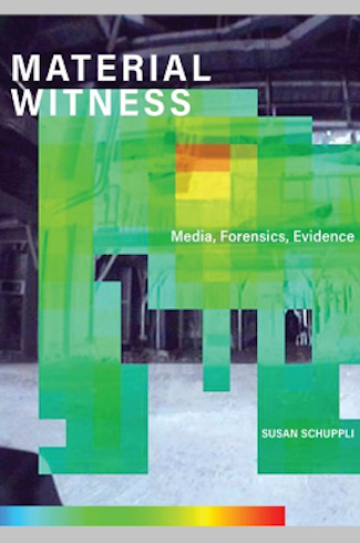 material witness