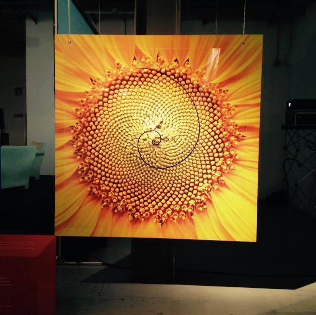 Resonances_Mathematics of Food_Sunflower_ATS_201510_Square.jpg