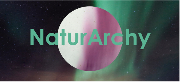 NaturArchy concept image - focus on northern lights with colours reversed, with text