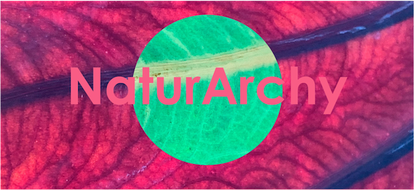 NaturArchy concept image - focus on leaf with colours reversed, with text