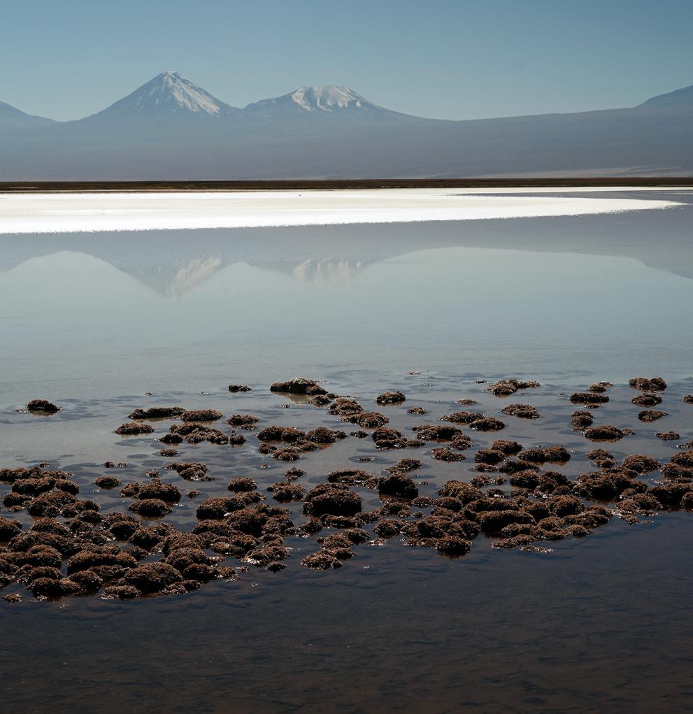 Atacama 2