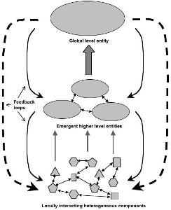 complex system concept model - diagram