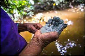 Mud from the Ucayali River. Photo: Xapiri ground