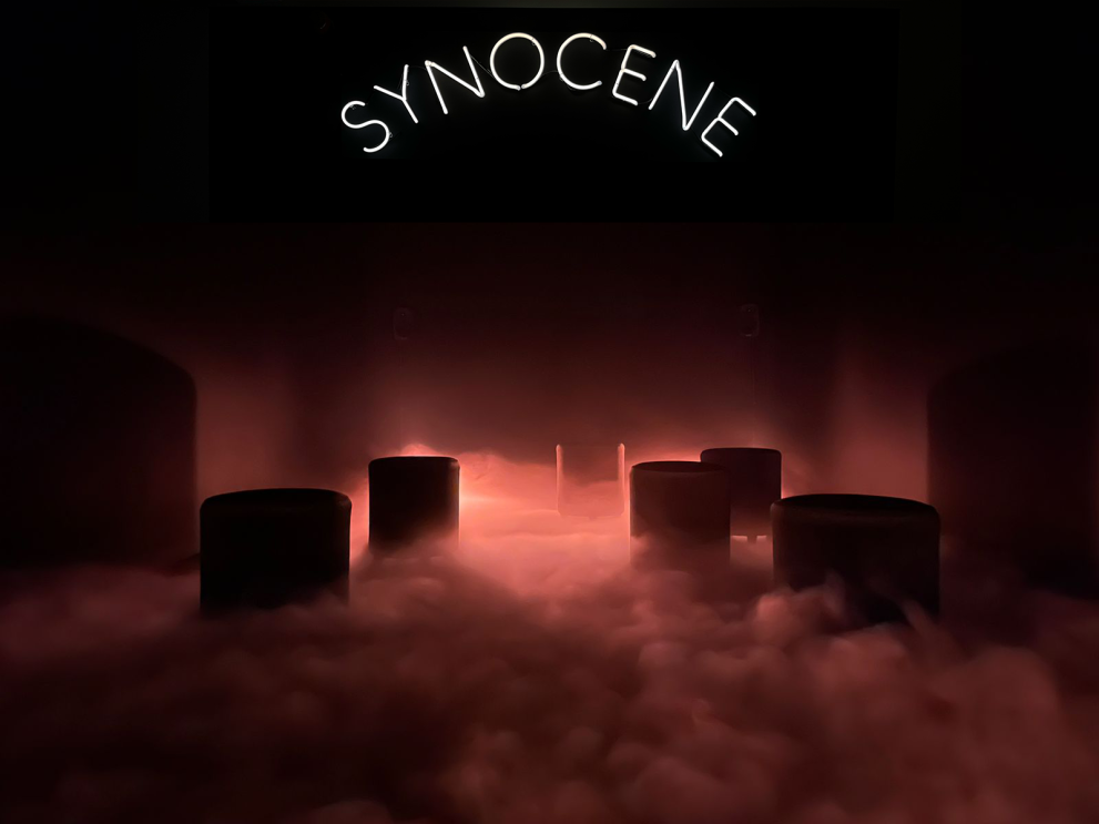Synocene Postcard visual