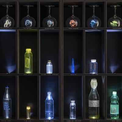 Haunted Waters Installation view Shelves whole_ photo Nonhuman Nonsense